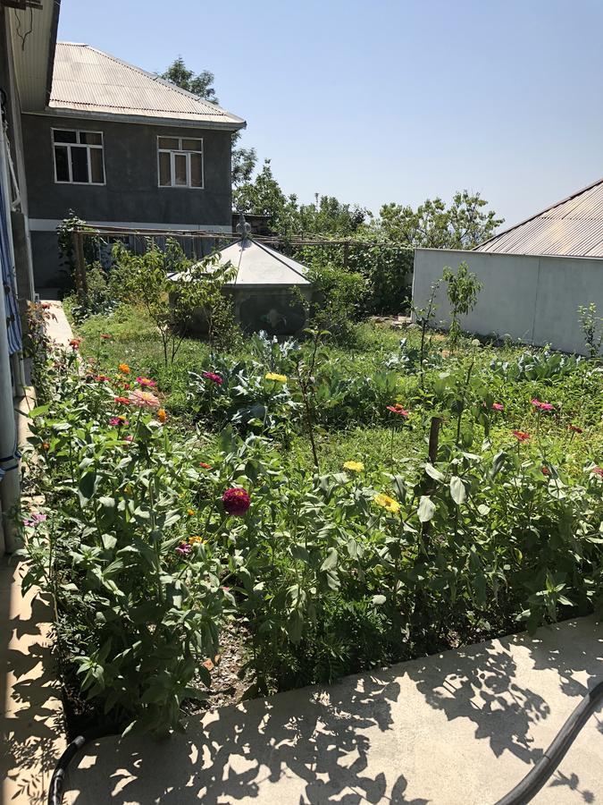 Bed and Breakfast Shaki Host House Şǝki Esterno foto