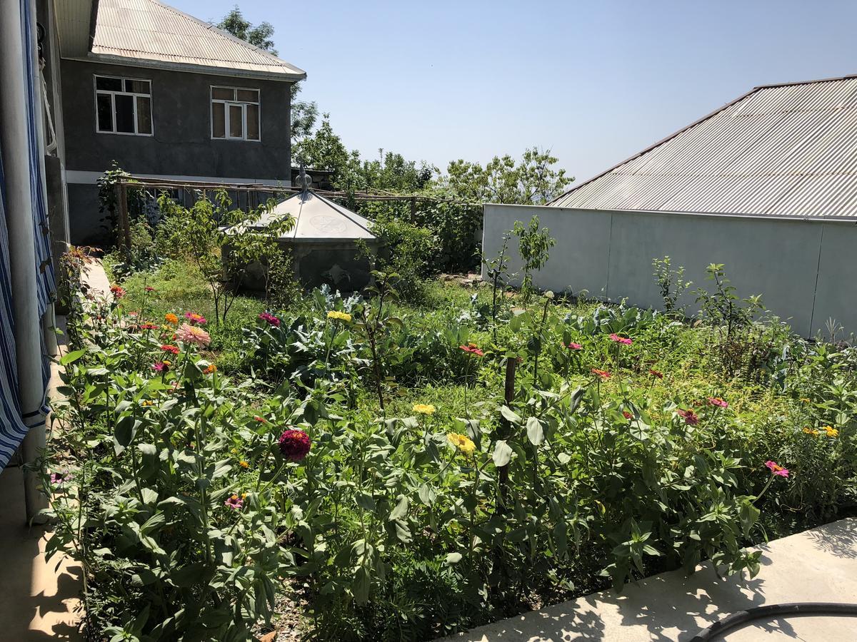 Bed and Breakfast Shaki Host House Şǝki Esterno foto